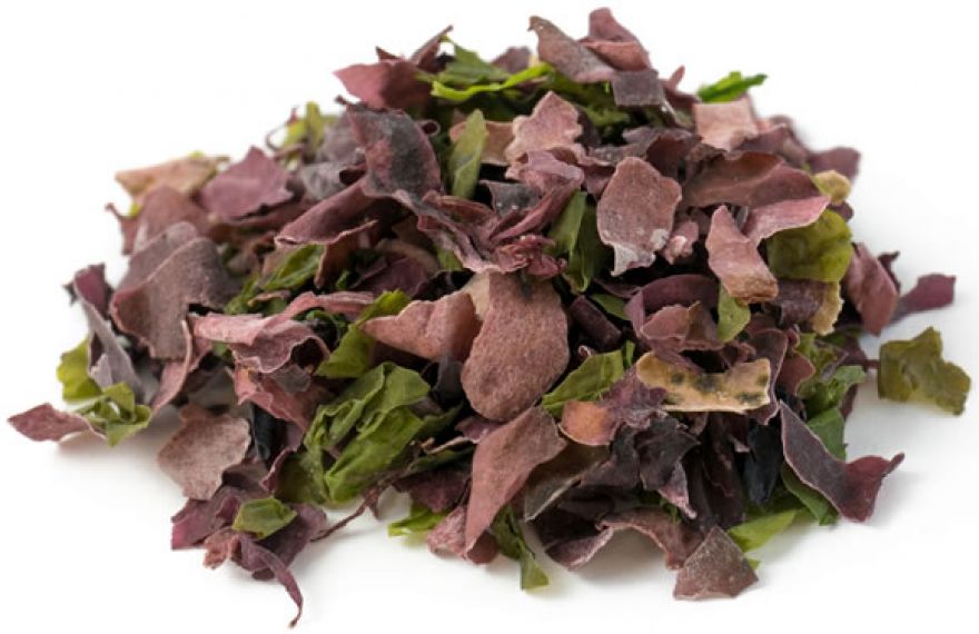 Algele marine - de ce superfoods?