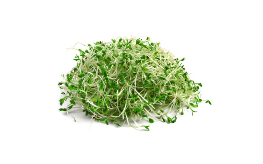 Detoxifierea organismului după sezonul rece