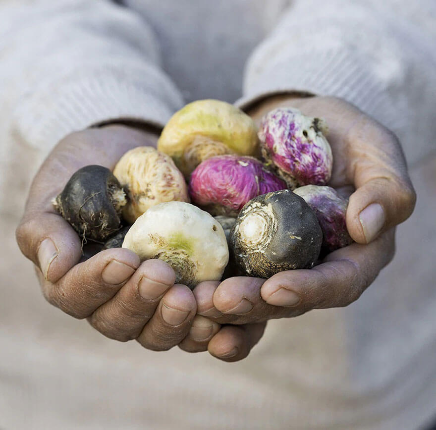 Ce tip de maca este cel mai potrivit pentru tine?
