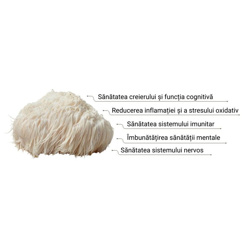 Organic Lions Mane 1000 mg Pure Grade Extract Powder (60grame), MushroomsForLife