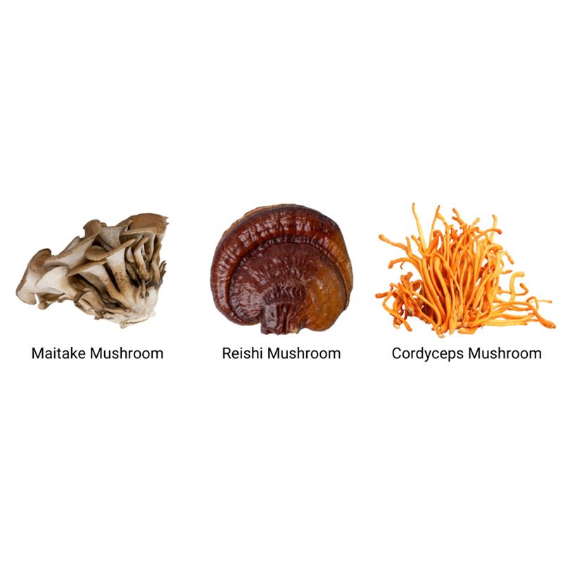 Organic Mycomplex 800 mg Reishi, Cordyceps si Maitake (60 capsule), MushroomsForLife