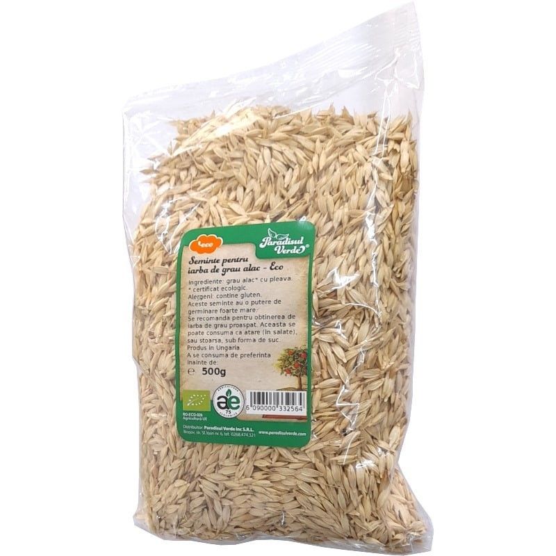 Seminte pentru Iarba de Grau Alac - Bio, 500g, Paradisul Verde Seminte de grau alac cu