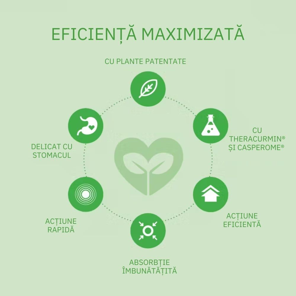 Eficiență maximizată Curcumin Theracurmin Plus Boswellia, detaliu verde, elemente grafice fito.