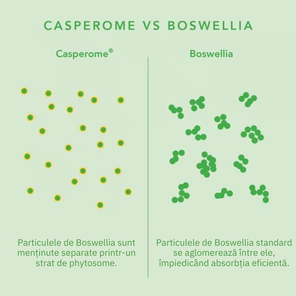Comparație vizuală între particulele Casperome și Boswellia pe fundal verde deschis.