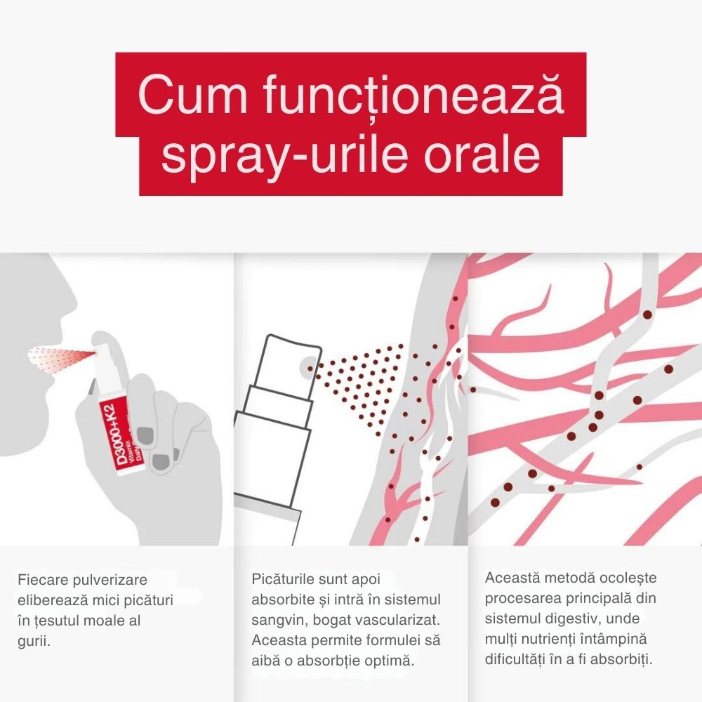 Spray oral D3000+K2, detaliu funcționare: picături absorbite oral, schemă circulație sangvină, dozaj optim.