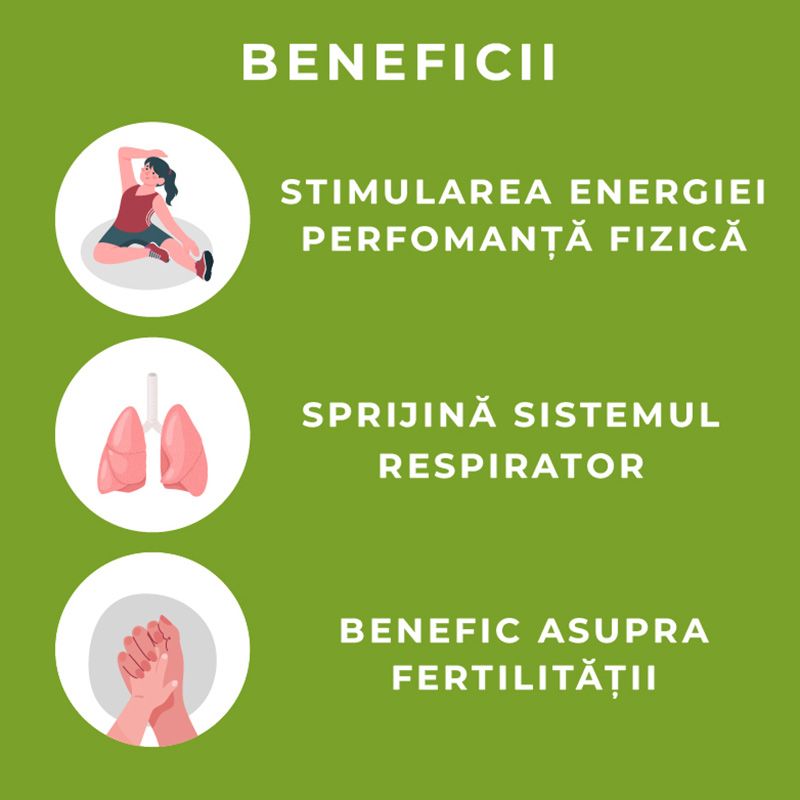 Beneficiile capsulelor concentrat Cordyceps: energie crescută, sprijin respirator, fertilitate, fundal verde.