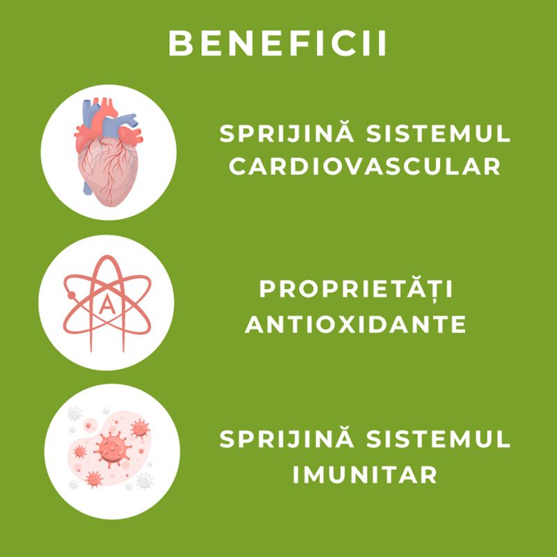 Beneficii Organic Maitake: cardiovascular, antioxidant, imunitar, pe fundal verde.