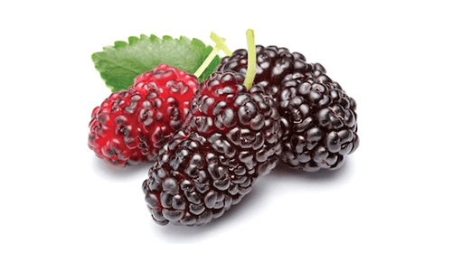 Dude negre și roșii deshidratate, bio, cu frunze verzi, 250g, vedere laterală.