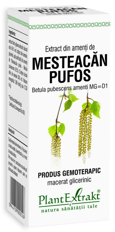 Extract din amenti mesteacan pufos 50 ml plantextrakt - Verlin