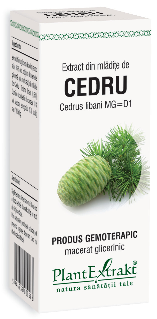 Extract din mlădițe cedru 50 ml plantextrakt - Verlin
