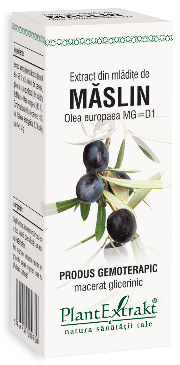 Extract din mlădițe măslin 50 ml plantextrakt - Verlin