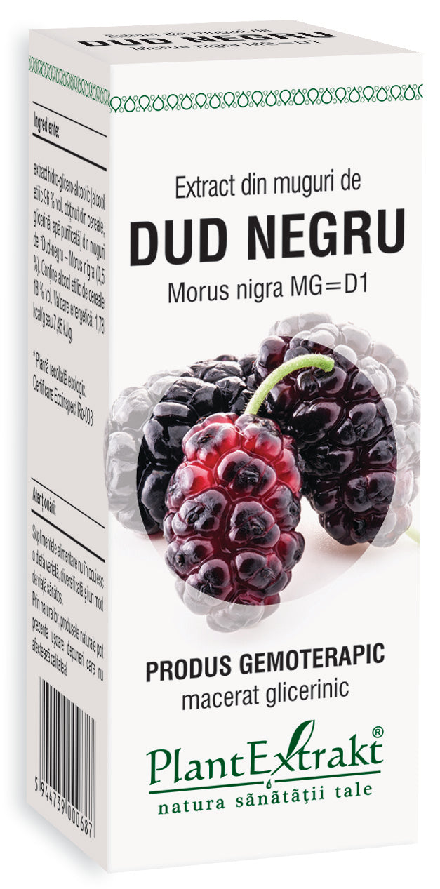 Extract din muguri dud negru 50 ml plantextrakt - Verlin