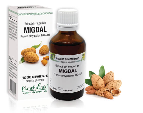 Extract din muguri migdal 50 ml plantextrakt - Verlin