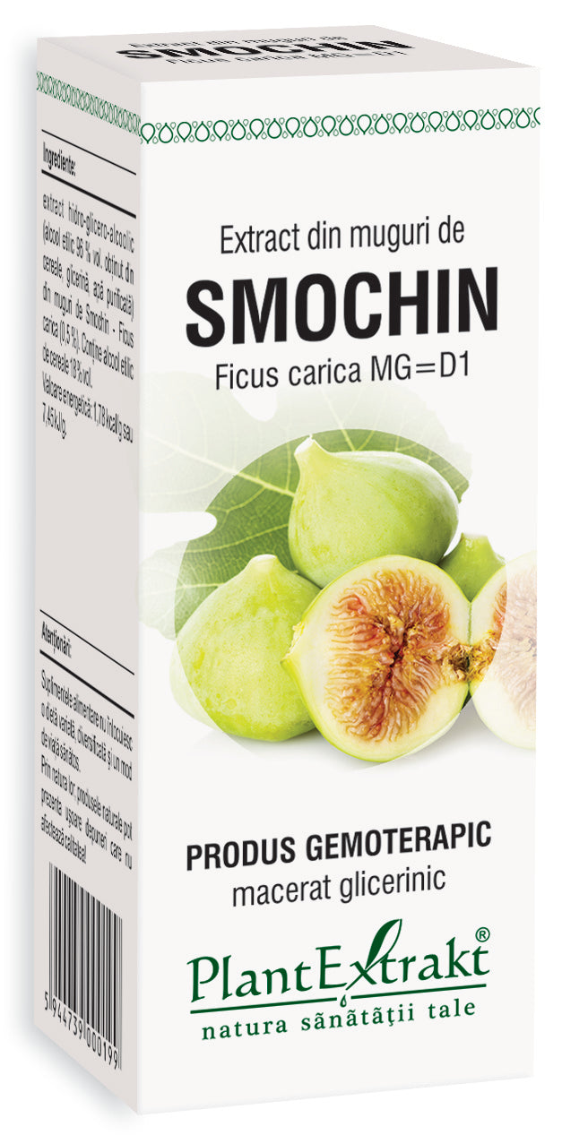 Extract din muguri smochin 50 ml plantextrakt - Verlin