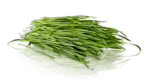Iarba grau wheatgrass noua zeelanda bio 125g crud - Verlin