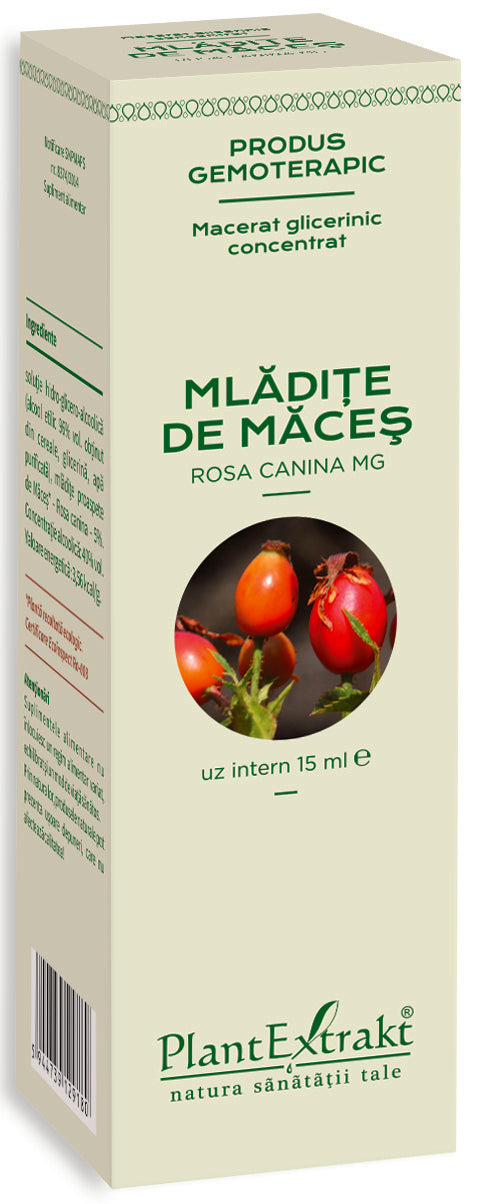 Mlădițe măceș 15 ml plantextrakt - Verlin
