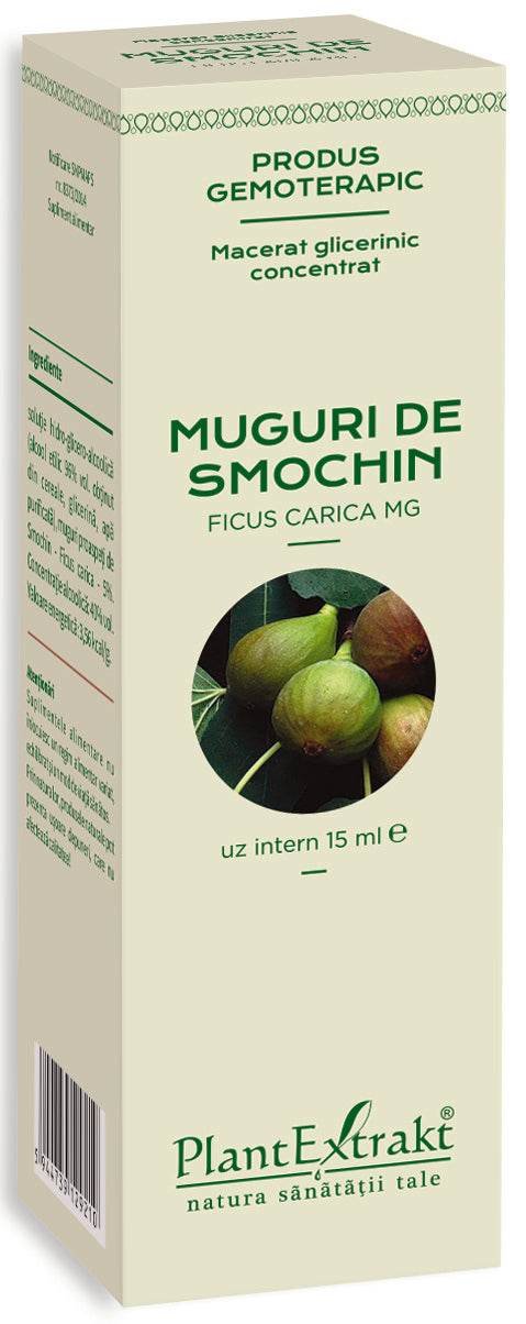 Muguri smochin 15 ml plantextrakt - Verlin