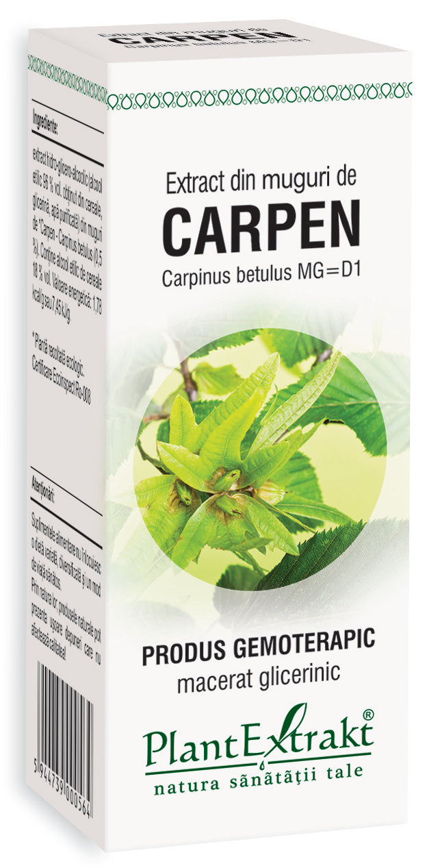 Extract din muguri de carpen, 50 ml, plantextrakt