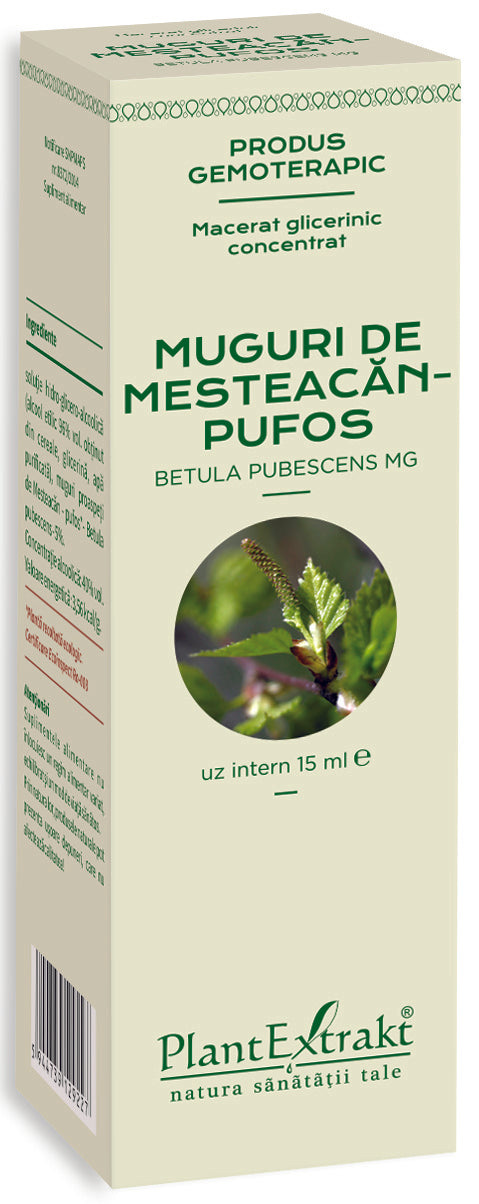 Muguri de mesteacan pufos, 15 ml, plantextrakt