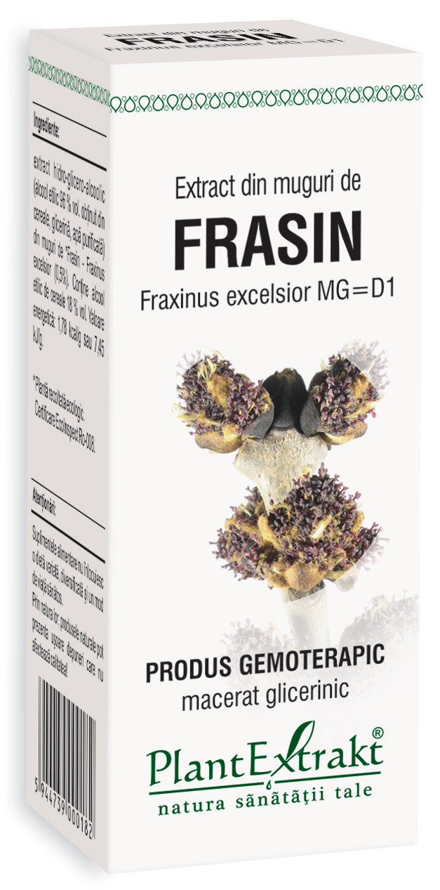 Cutie Albă Extract Muguri Frasin 50 ml Plantextrakt, imagine muguri Fraxinus excelsior.