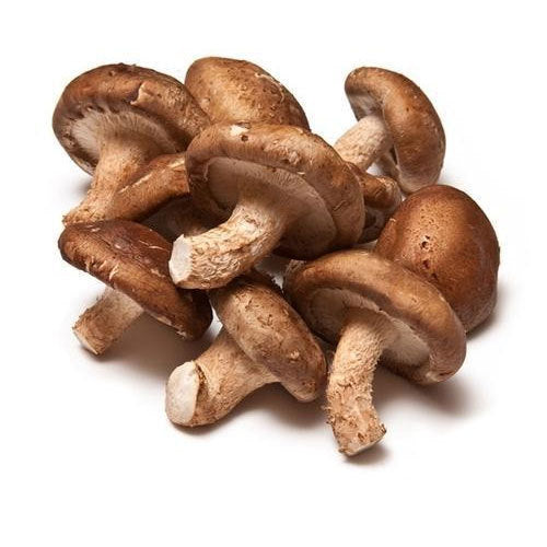 Shiitake pudra, bio, 125g, crud si sanatos
