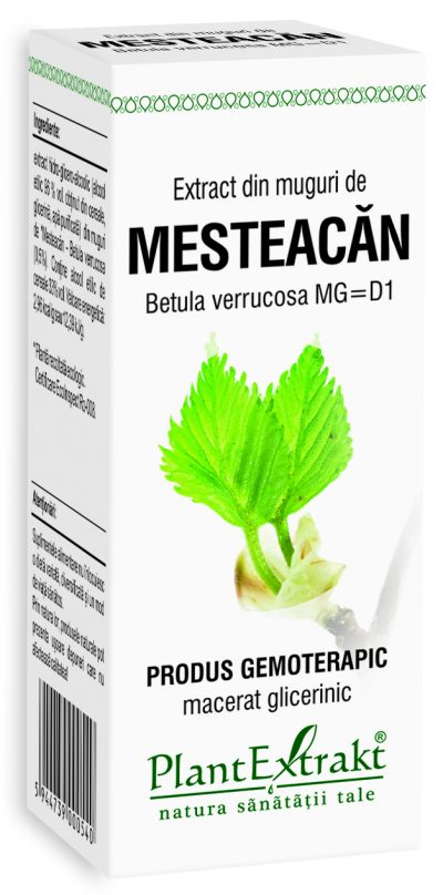 Extract din muguri de mesteacan, 50 ml, plantextrakt