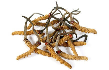 Cordyceps pudra, bio, 60g, crud si sanatos