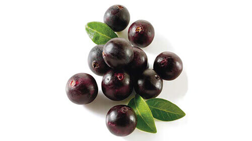 Acai pudra, bio, 60g, crud si sanatos