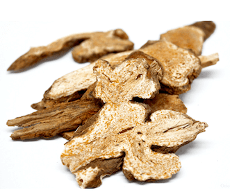 Atractylodes pudra, 125g, crud si sanatos