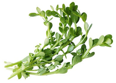 Brahmi pudra, bio, 125g, crud si sanatos