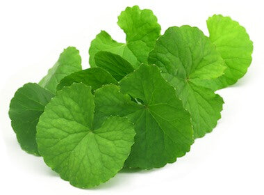 Gotu kola pudra, 125g, crud si sanatos