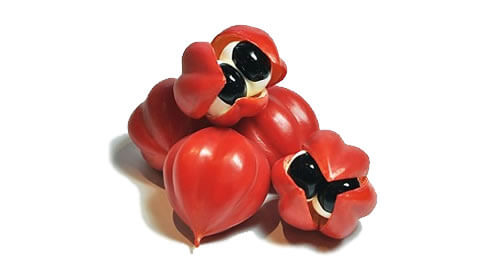 Guarana pudra, bio, 125g, crud si sanatos