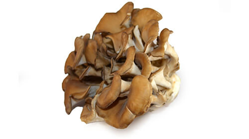 Maitake pudra, bio, 60g, crud si sanatos