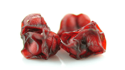 Schisandra pudra, bio, 125g, crud si sanatos
