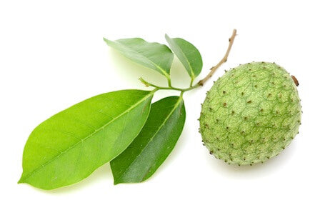 Graviola pudra, 125g, crud si sanatos