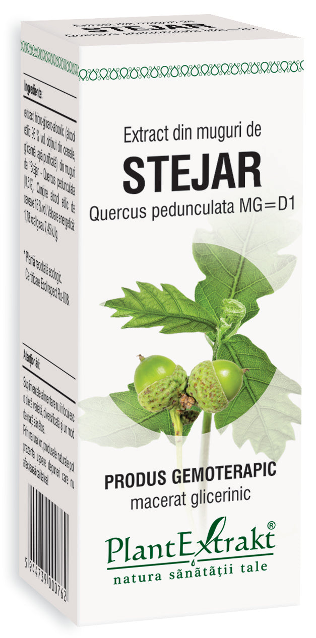 Extract din muguri de stejar, 50 ml, plantextrakt