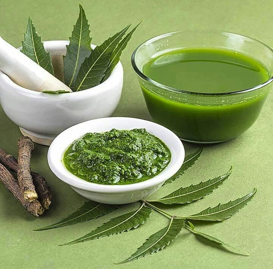 Arborele de neem – locul unde se ascunde farmacia naturii