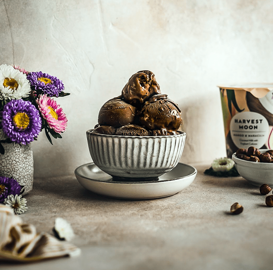 Frozen Yogurt Vegan
