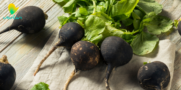 ridichie neagra - beneficii pentru sistemul digestiv si detoxifiere 