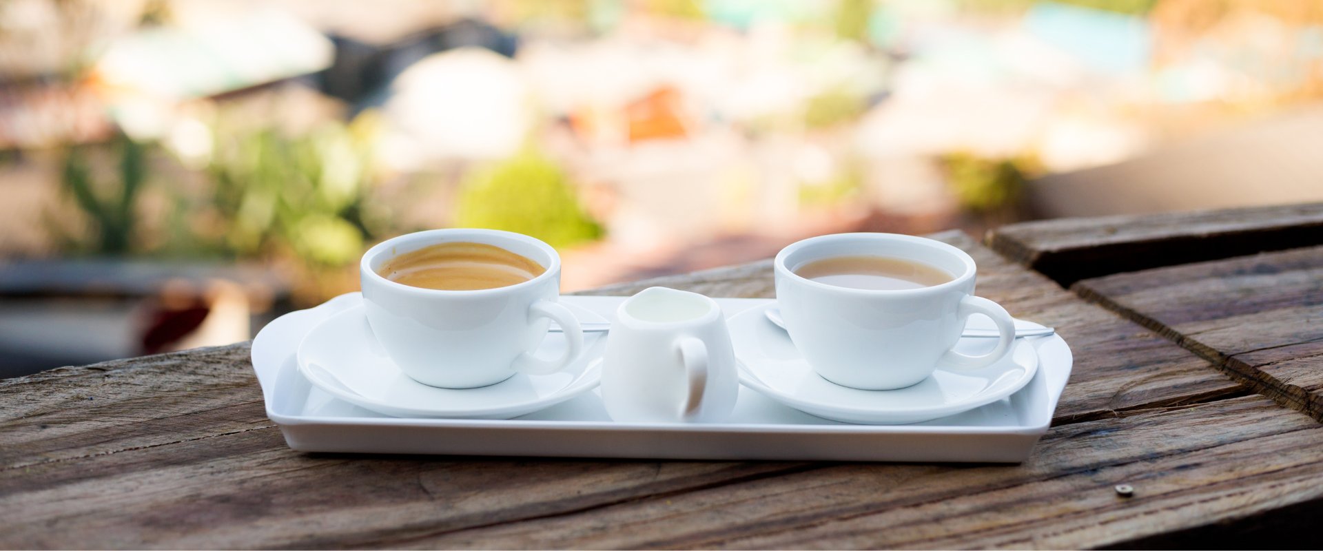 Ceai, Cafea, Cacao și Înlocuitori Bio