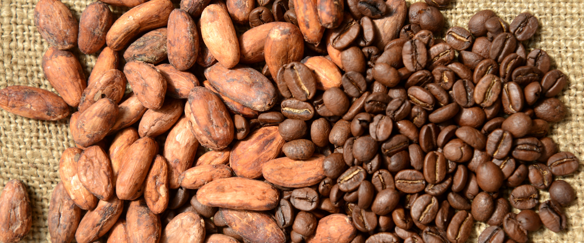 Cacao & Cafea Verlin