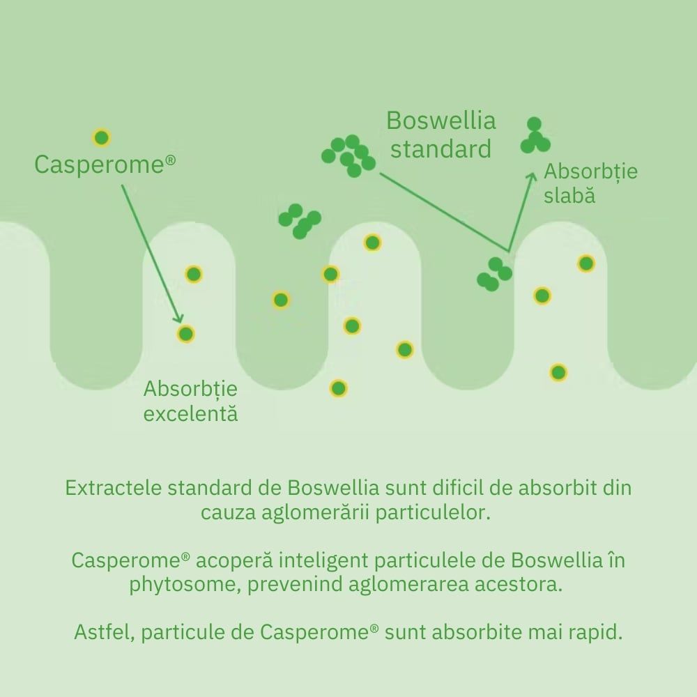 Curcumin Theracurmin Plus Boswellia Phytosome (60 capsule), Neutrient