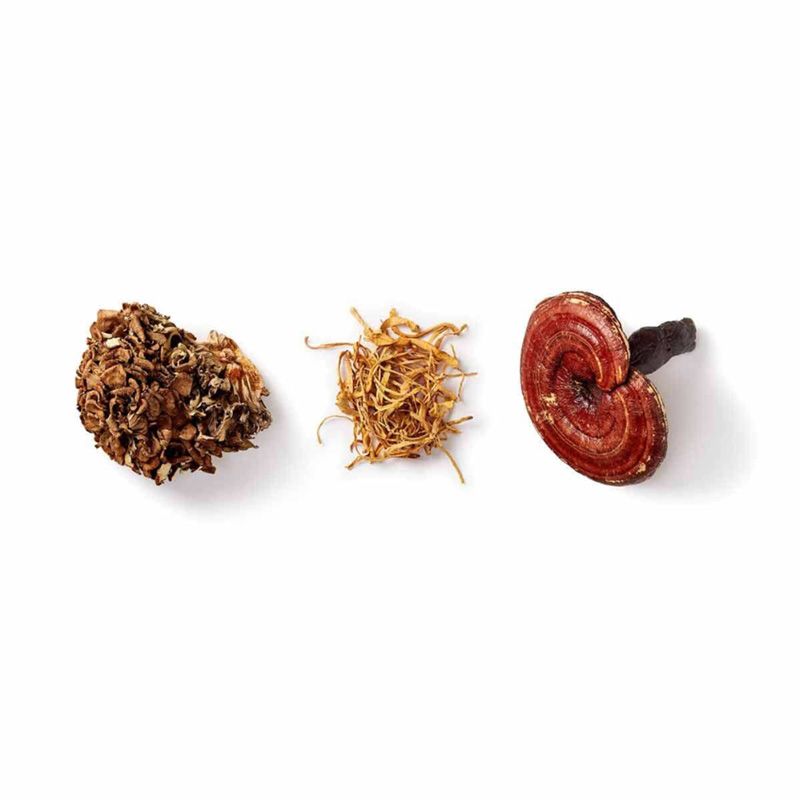 Organic Mycomplex Mushroom Powder cu Reishi, Cordyceps, Maitake 1000 mg Full Spectrum (60 grame), Mushrooms4Life