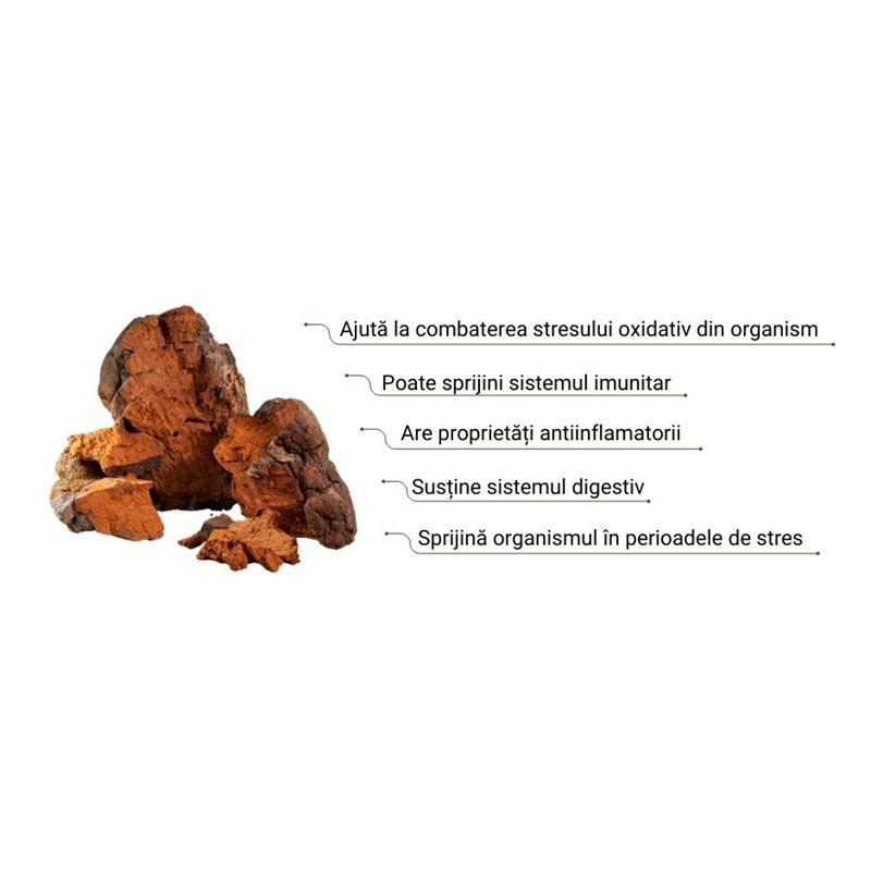 Oranic Chaga 1000 mg Pure Grade Extract Powder (60 grame), MushroomsForLife