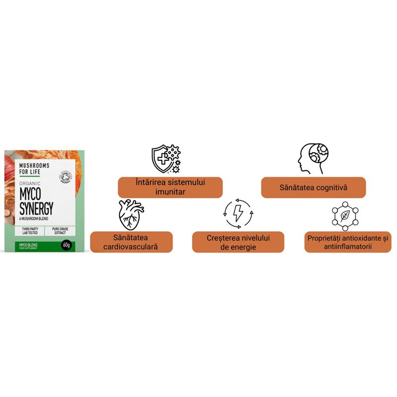 Organic Myco Synergy 6 ciuperci 1000 mg Pure Grade Extracts Powder (60 grame), MushroomsForLife