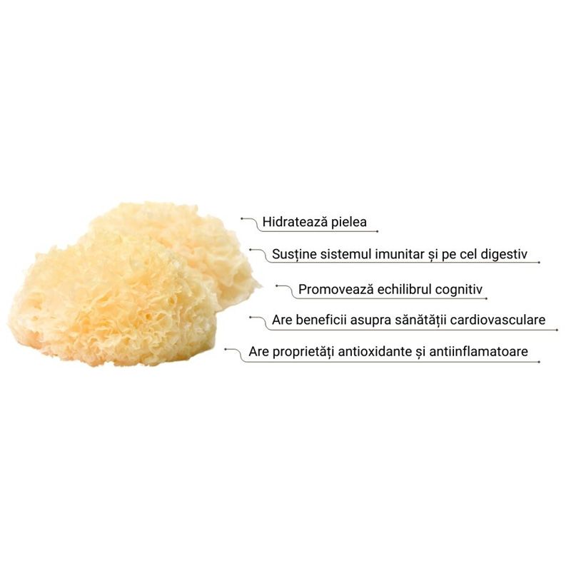 Organic Tremella 1000 mg Pure Grade Extract Powder (60 grame), MushroomsForLife 2