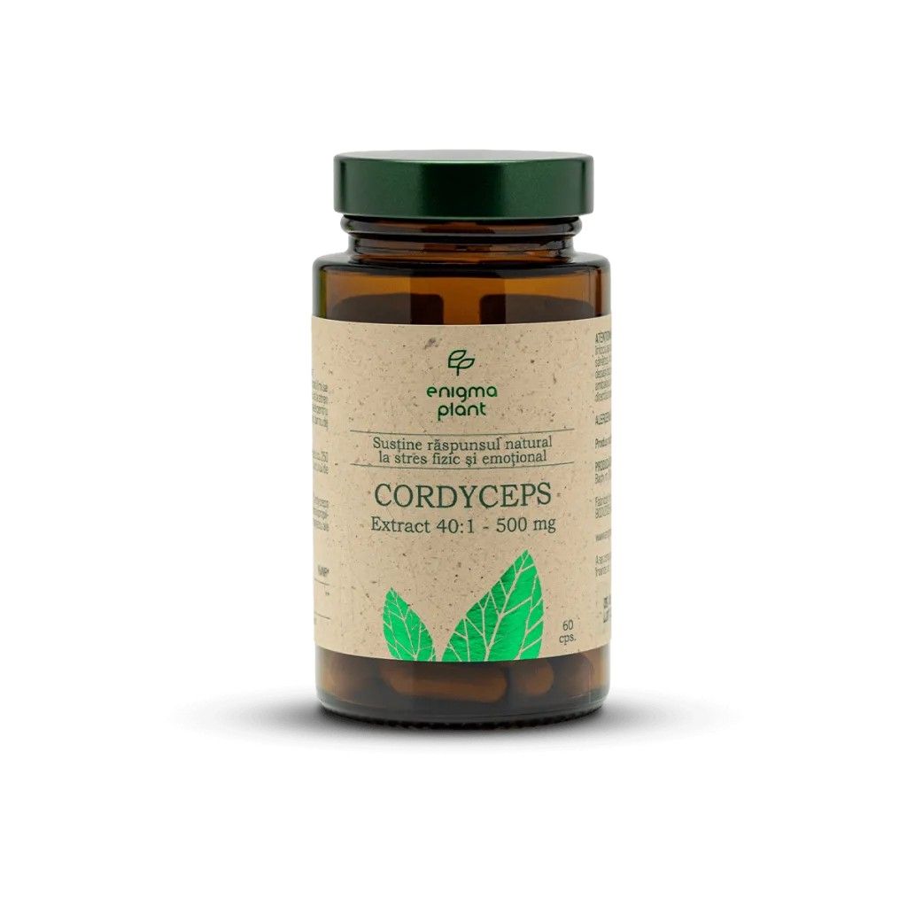 Cordyceps extract 500 mg, sustine raspunsul natural la stres fizic și emoțional, 60 capsule, Enigma Plant