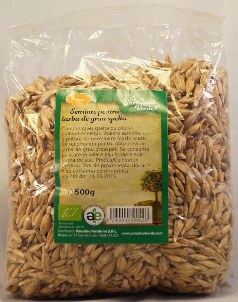 Seminte Iarba Grau Spelta, Bio, 500g, Paradisul Verde 3