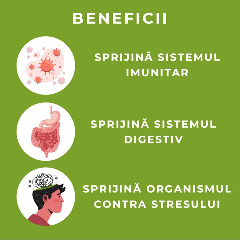 Organic Chaga 800 mg Pure Grade Extract (60 capsule), MushroomsForLife Organic Chaga 800 mg Pure