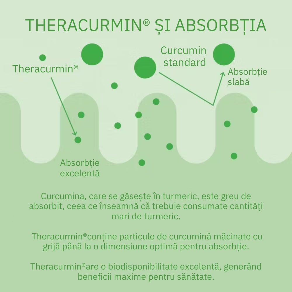 Diagramă absorbție curcumină, diferențiere Theracurmin și curcumin standard, text verde pe fundal deschis.